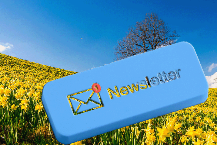 Newsletter Frühling